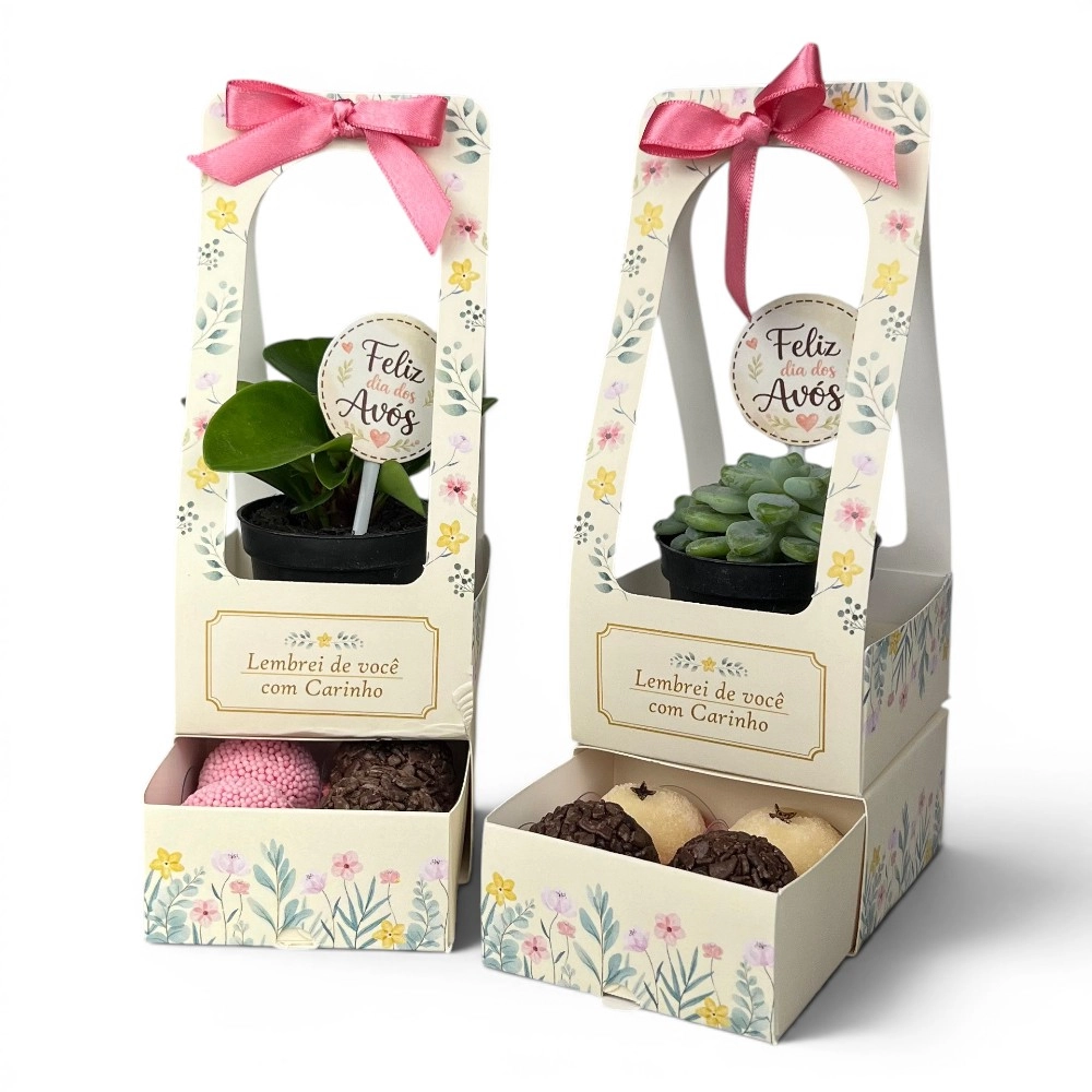 10 Cachepots para mini suculentas + 4 brigadeiros - Dia dos Avós