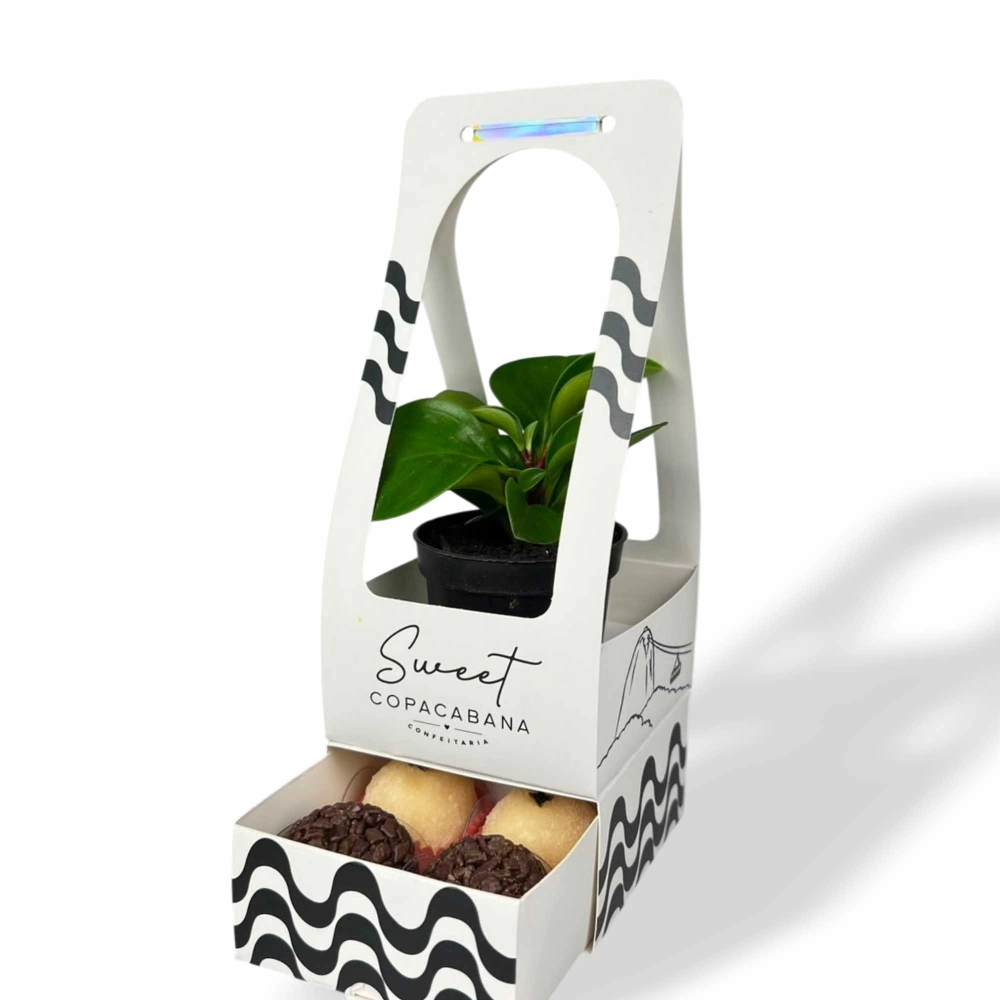 50 Cachepots para mini suculentas + 4 brigadeiros - Personalizado com sua marca